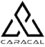فروشگاه اینترنتی کاراکال